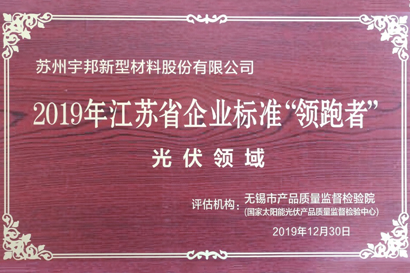 2019 Jiangsu Enterprise Standard Leader (태양 광 분야)